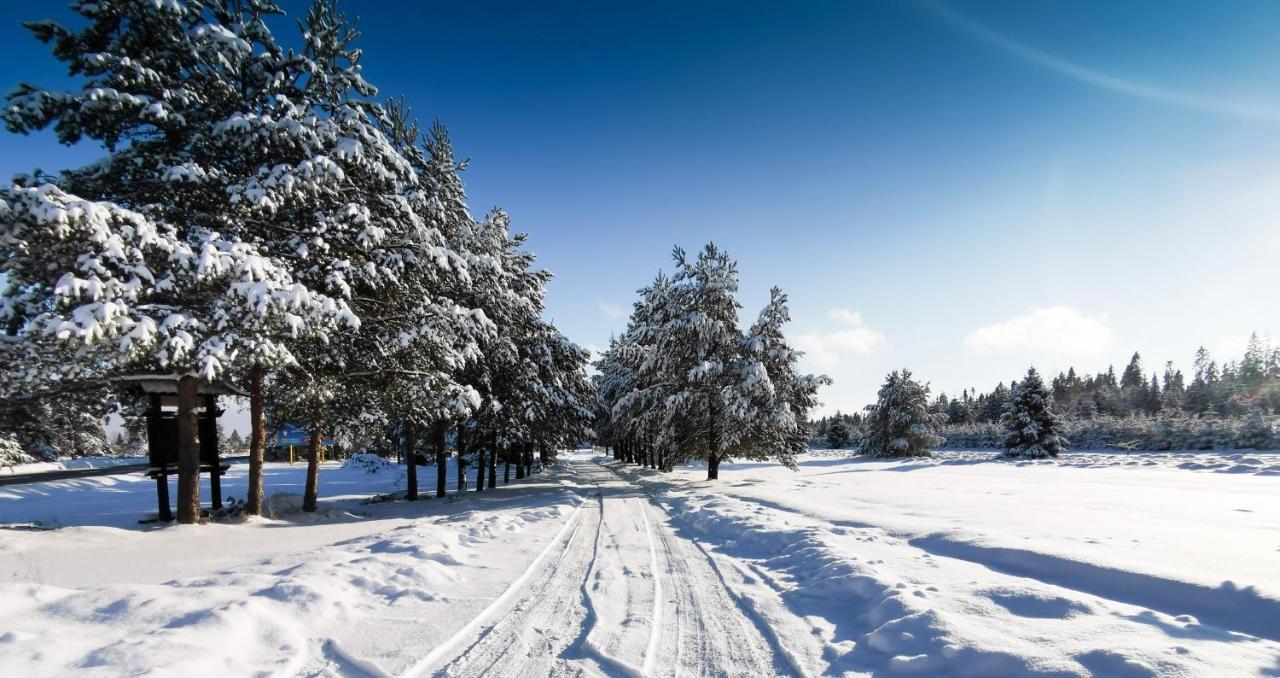 Domki Baligowka Aurelia I Maximus Zakopane Zewnętrze zdjęcie