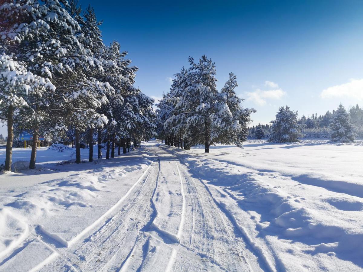 Domki Baligowka Aurelia I Maximus Zakopane Zewnętrze zdjęcie