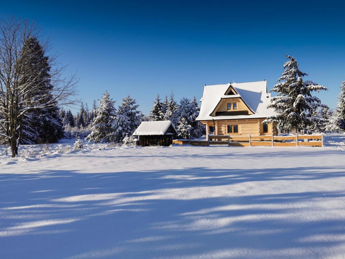 Willa Domki Baligowka Aurelia I Maximus Zakopane Zewnętrze zdjęcie