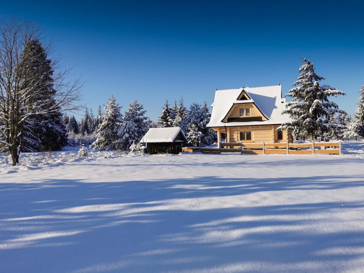 Domki Baligowka Aurelia I Maximus Zakopane Zewnętrze zdjęcie