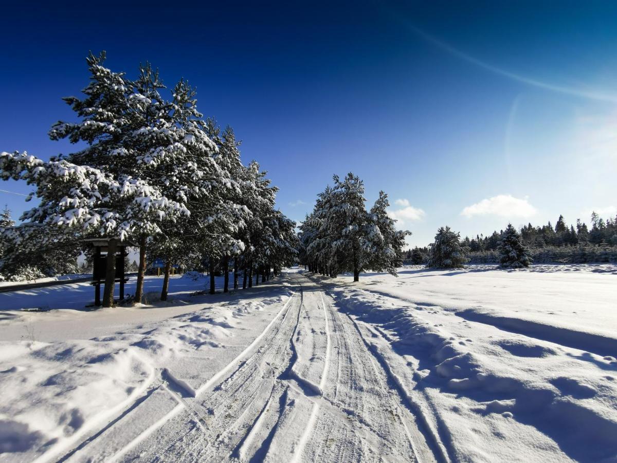 Domki Baligowka Aurelia I Maximus Zakopane Zewnętrze zdjęcie